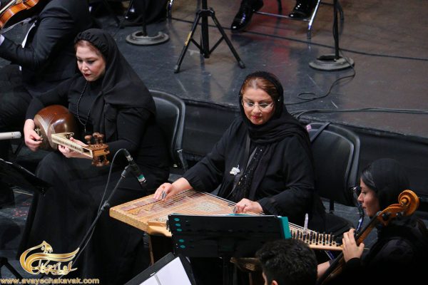 انواع سازهای موسیقی